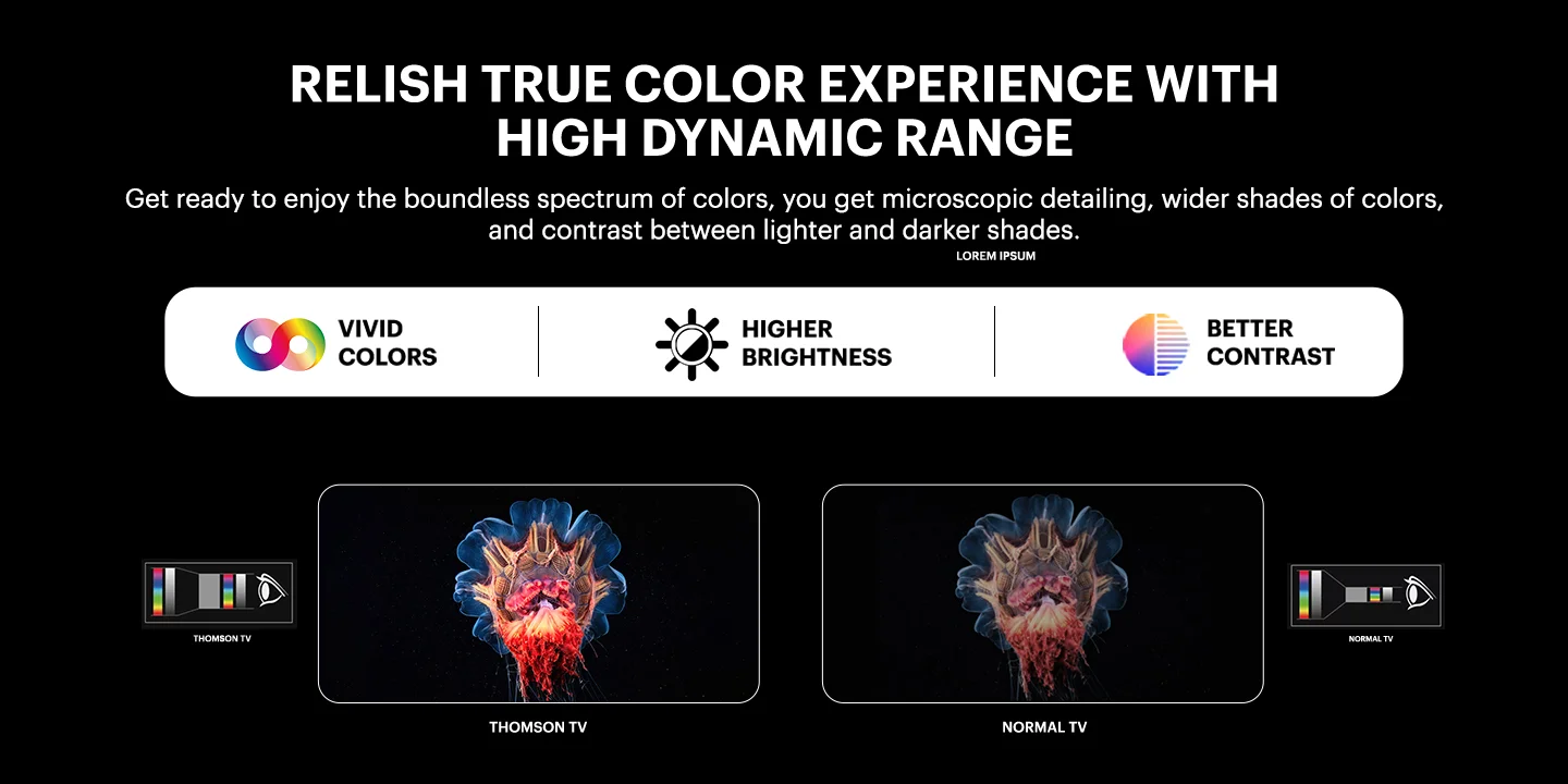 thomson/product/42RT1044/productrpd/42RT1044_rpd (6).webp